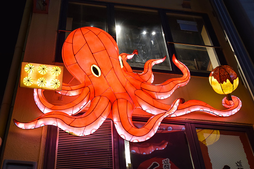 Light advertisement in the shape of an octopus offering Takoyaki balls in the Donburi district of Osaka, Japan.