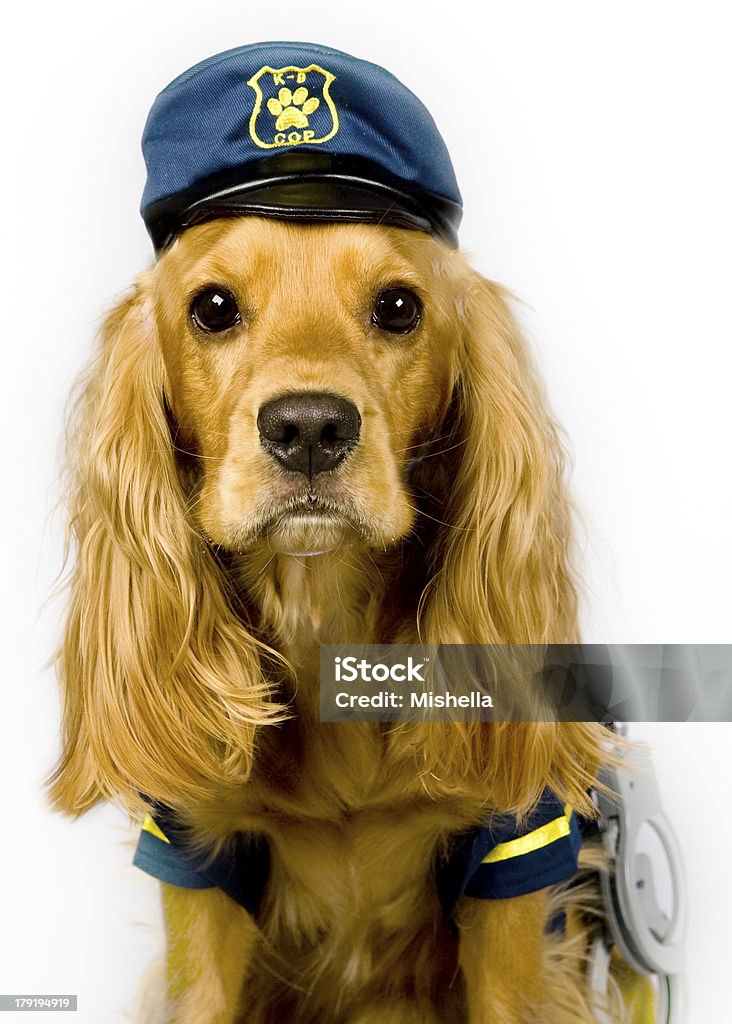 Chien policier - Photo de Badge libre de droits