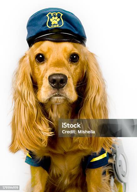 Cão Da Polícia - Fotografias de stock e mais imagens de Animal - Animal, Bloodhound, Boné