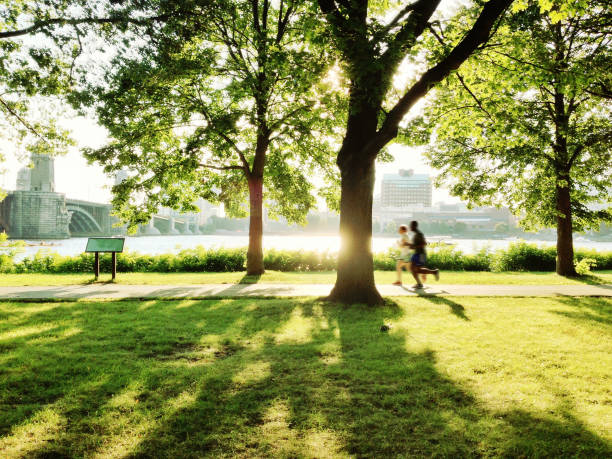 park in 보스턴 - running jogging urban scene city life 뉴스 사진 이미지