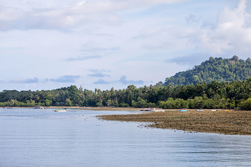 Natural coastline of Swaraj Dweep - or Havelock Island