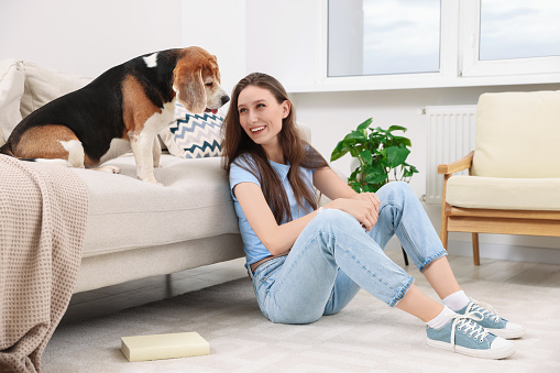 Happy young woman with her cute Beagle dog at home. Lovely pet