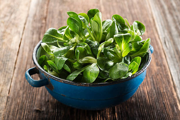 Salad Valerianella lettuce in a bowl on wooden background corn salad stock pictures, royalty-free photos & images