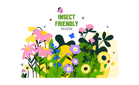 Insect friendly meadow vector illustration. Various wildlife flowers with insects. Rewilding concept, restoring nature's balance. revitalising degraded environments.