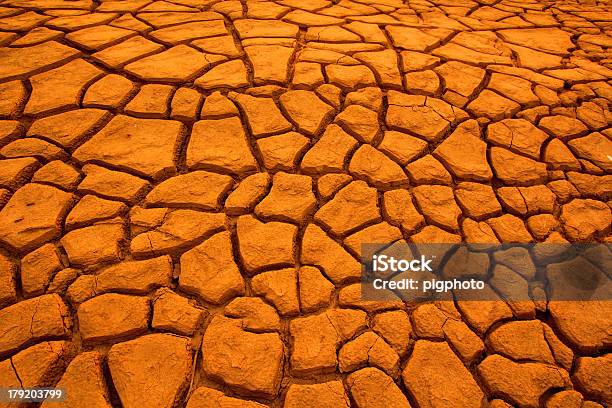 Pôr Do Sol Sobre A Terra E Áridas Terreno Cracking - Fotografias de stock e mais imagens de Acidente Natural - Acidente Natural, Acidentes e Desastres, Agricultura