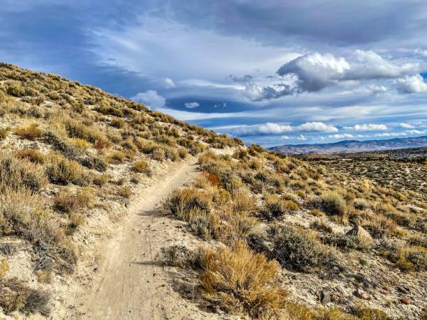 istock NW Reno - November 1792039181
