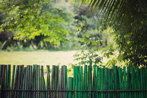 Rural landscape detail above a fence on the Andaman Islands, India.