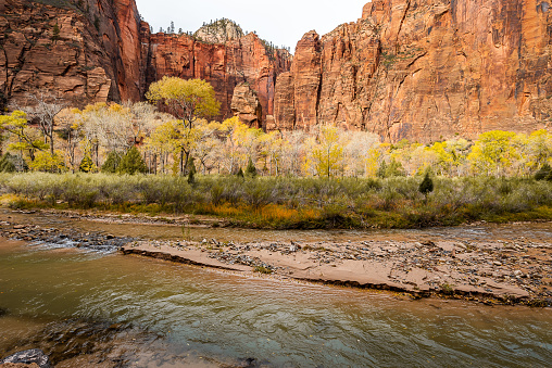Beautiful Zion National Park on a sunny autumn day. Breathtaking landscape with river, trees and rocks