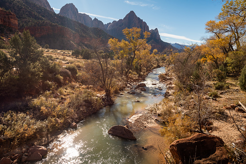 Beautiful Zion National Park on a sunny autumn day. Breathtaking landscape with river, trees and rocks