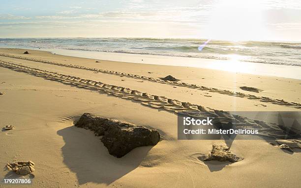 Photo libre de droit de Traces De Pneu Sur La Plage Au Coucher Du Soleil banque d'images et plus d'images libres de droit de Activité de loisirs - Activité de loisirs, Activités de week-end, Aventure