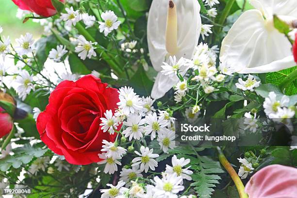 Bouquet Of Flowers Stock Photo - Download Image Now - Arrangement, Botany, Bouquet