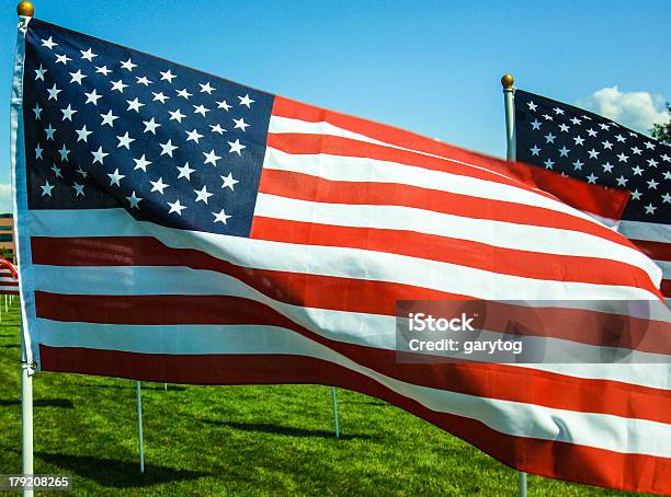 아메리칸 포석 7월 4일에 대한 스톡 사진 및 기타 이미지 - 7월 4일, Flag Day, US Veteran's Day