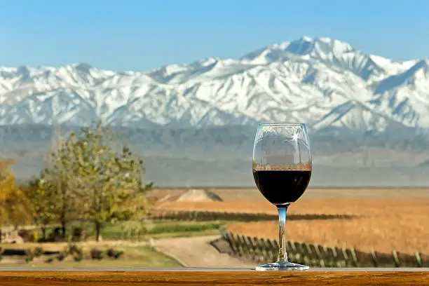 Glass of red wine, as a background, vineyards at foot of fhe Andes range. Mendoza, Argentina.