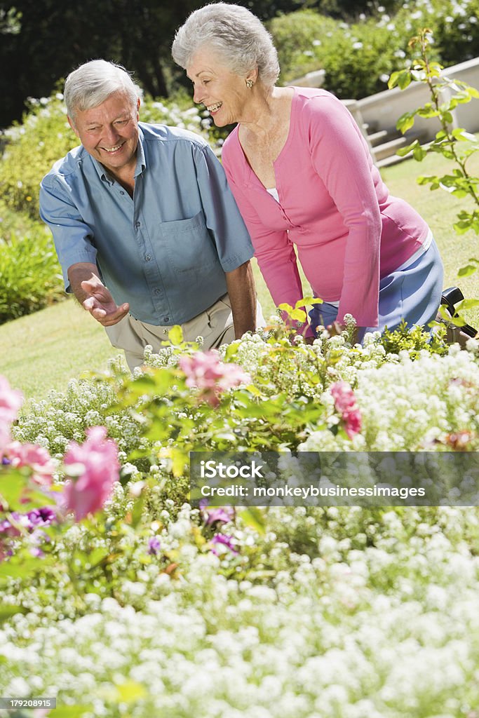 Пожилая пара, работающих в сад - Стоковые фото 70-79 лет роялти-фри