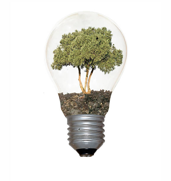 istock Incandescent light bulb with a tree as the filament 179209030