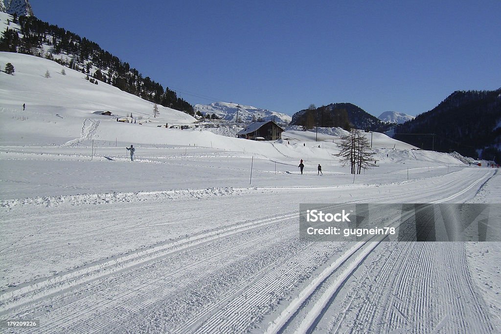 cross-country skiing track of cross-country skiing Aspen - Colorado Stock Photo