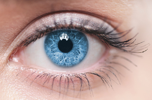 A close-up of a blue female human eye
