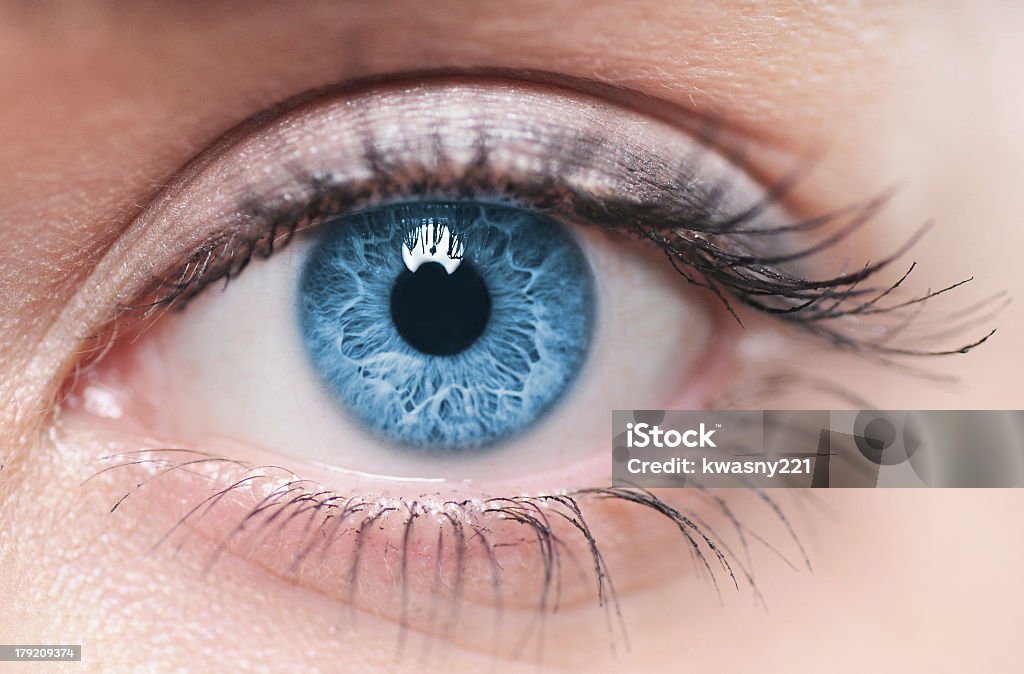A close-up of a blue female human eye Macro image of human eye Eye Stock Photo