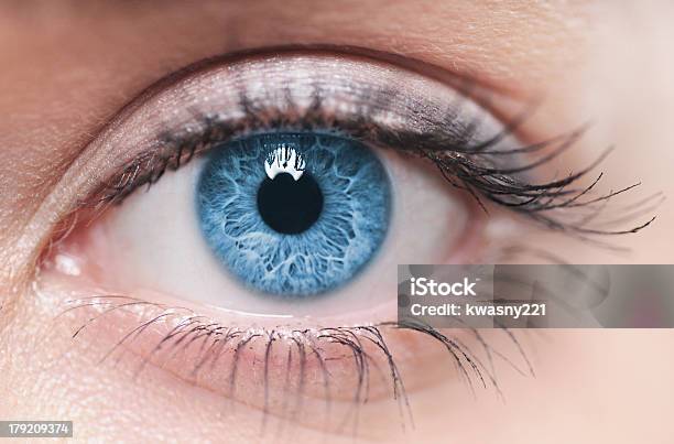 A Closeup Of A Blue Female Human Eye Stock Photo - Download Image Now - Eye, Close-up, Iris - Eye