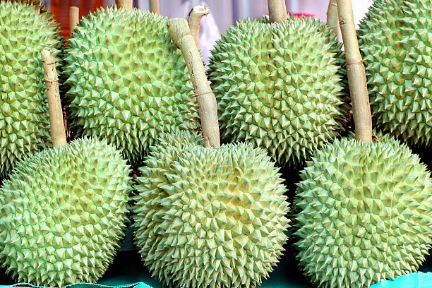 istock Durian fruit on market tray 179209545
