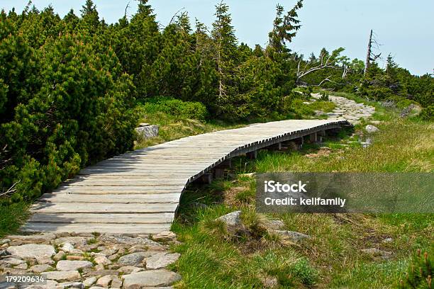 Ponte Di Legno In Montagna - Fotografie stock e altre immagini di Albero - Albero, Ambientazione esterna, Blu