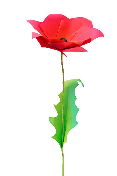 istock Origami poppy flower 179210657