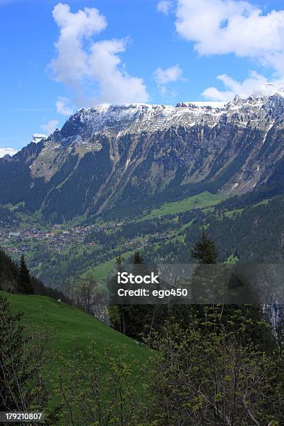 Svizzera - Fotografie stock e altre immagini di Albero - Albero, Alpi, Ambientazione esterna