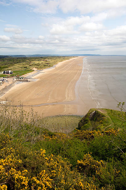 istock Long flat beach Pendine Sands Carmarthen Bay Wales 179211010