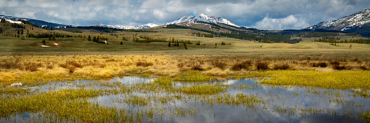 Water creek in Yellowstone National Park