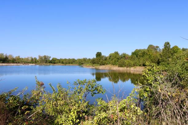 istock Lake in the Countryside 1792119731