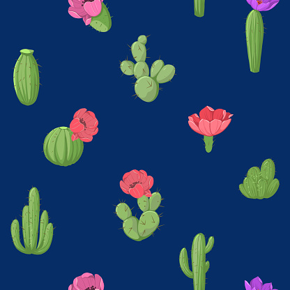 istock Cactus with flowers, seamless pattert. vector color illustrations 1792120864