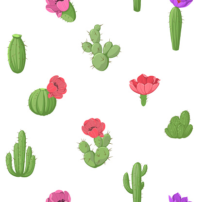 istock Cactus with flowers, seamless pattert. vector color illustrations 1792120871