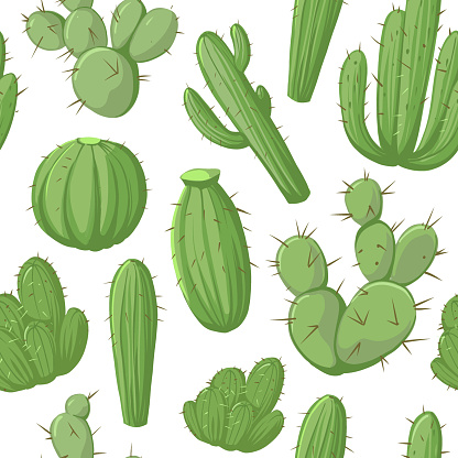 istock Cactus with flowers, seamless pattert. vector color illustrations 1792121201