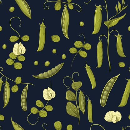 istock Green peas, soybean plants, seamless pattern vector color illustrations 1792121421