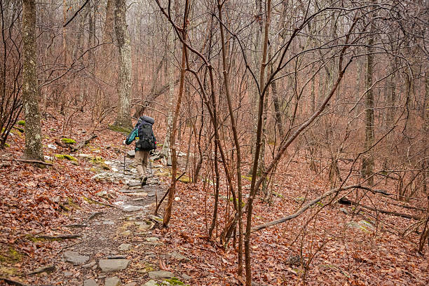 istock Hiking in the Rain 179212158