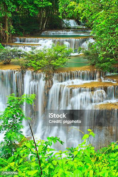 Hermosa Cascada En El Bosque Foto de stock y más banco de imágenes de Agua - Agua, Aire libre, Ajardinado