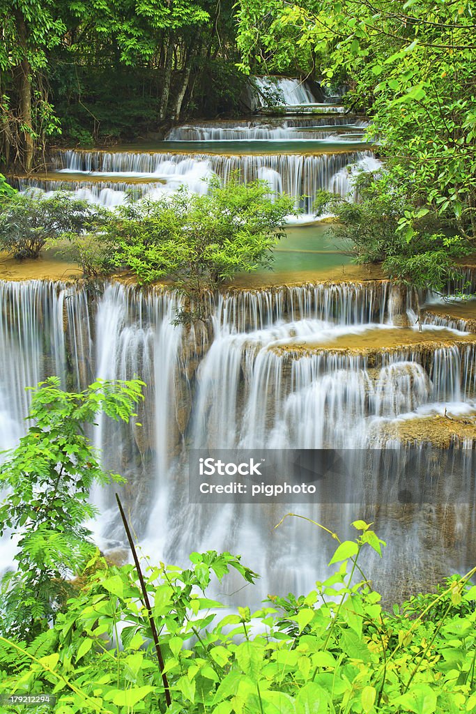 Cachoeira na bela floresta - Foto de stock de Ajardinado royalty-free