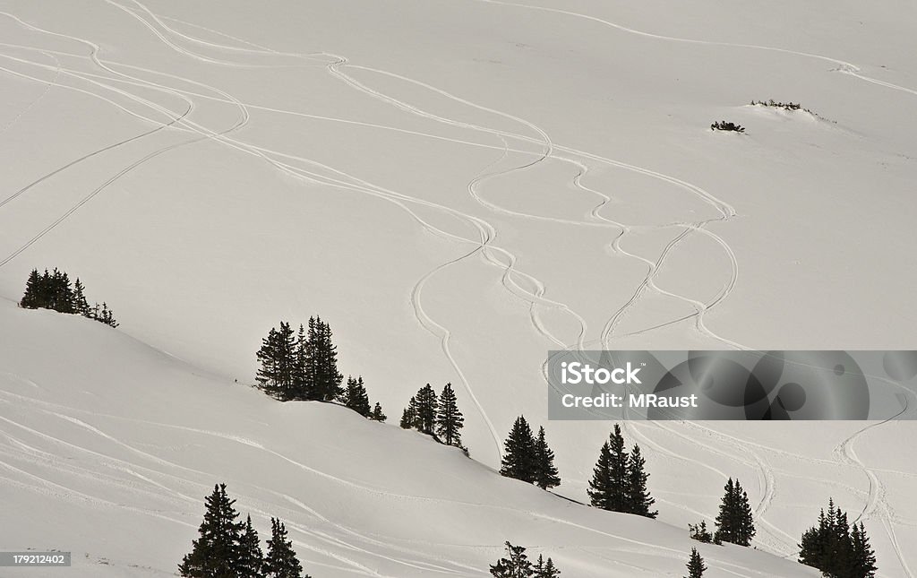 Ski fahren im Pulverschnee in den Rocky Mountains - Lizenzfrei Baum Stock-Foto