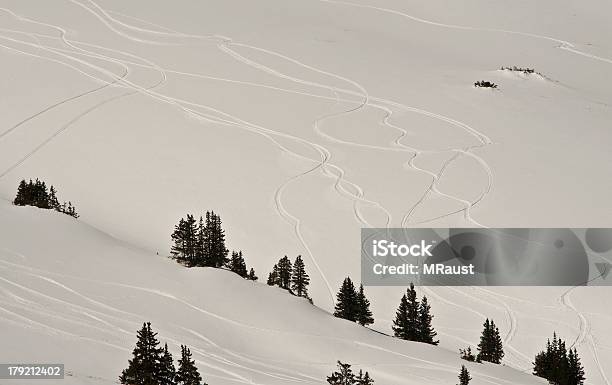 Ski Fahren Im Pulverschnee In Den Rocky Mountains Stockfoto und mehr Bilder von Baum - Baum, Berg, Biegung