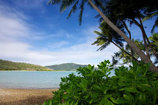 Photo of Tropical Island in Whitsundays