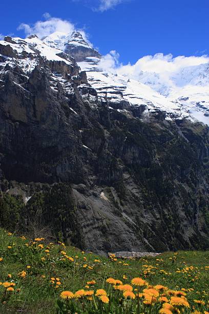 alpes suizos - switzerland interlaken schreckhorn mountain fotografías e imágenes de stock