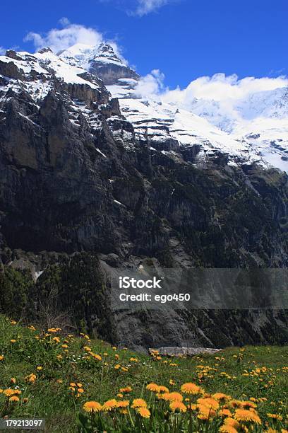 스위스 알프스 0명에 대한 스톡 사진 및 기타 이미지 - 0명, 경관, 과꽃