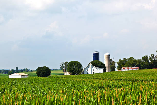 istock farm house with field and silo 179213209