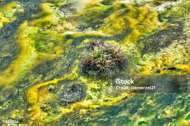 Géiser En Parque Nacional De Yellowstone Foto de stock y más banco de imágenes de Agua - Agua, Aire libre, América del norte