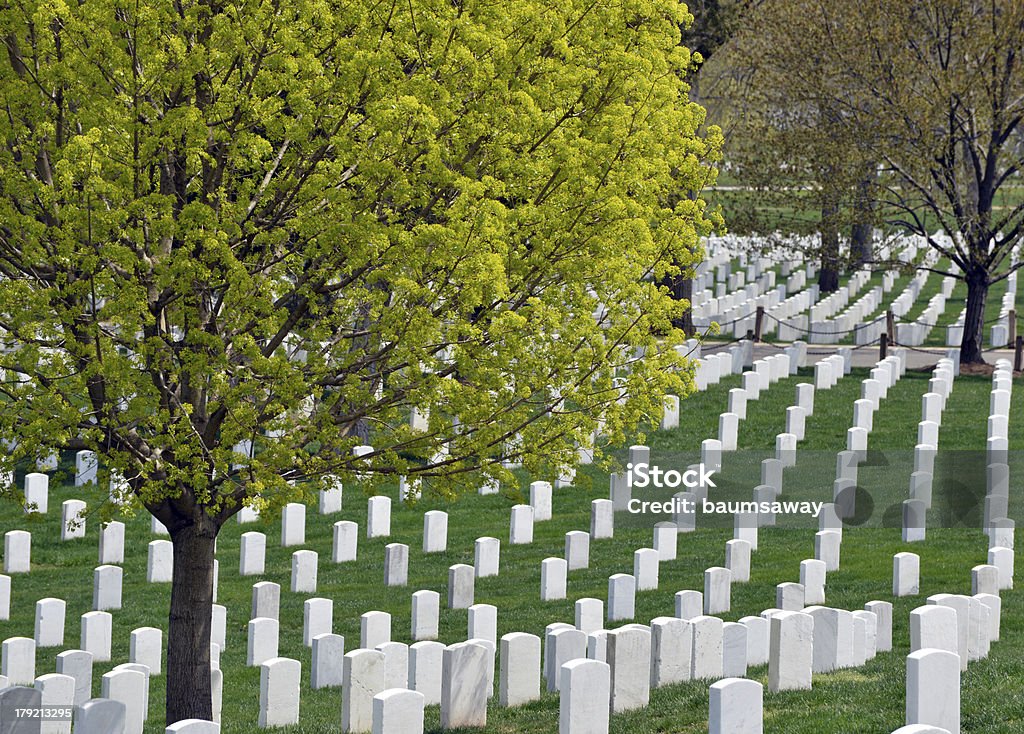 Cimitero nazionale Arlington - Foto stock royalty-free di Arlington - Virginia