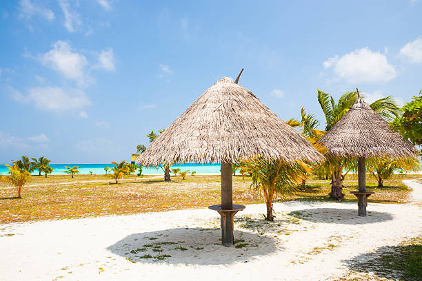 istock sunshades at the beach 179213612
