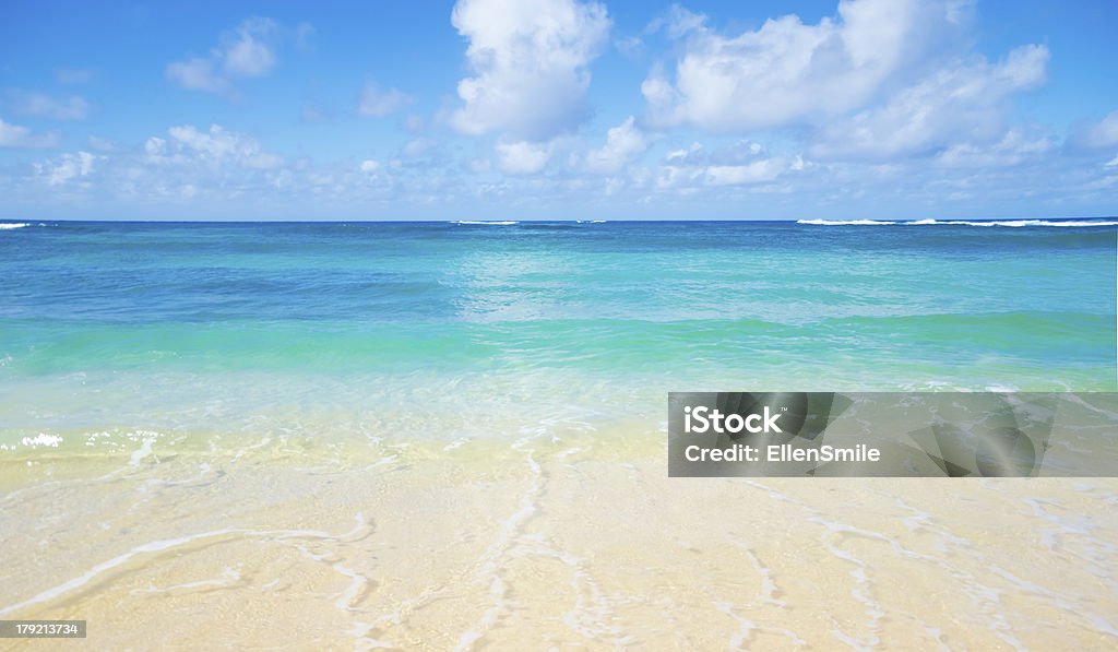 Wave on the sandy beach in Hawaii Gentle wave on the sandy Poipu beach in Hawaii, Kauai Backgrounds Stock Photo