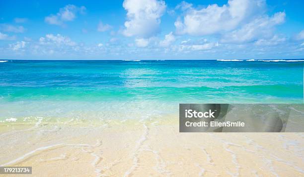 Wave On The Sandy Beach In Hawaii Stock Photo - Download Image Now - Backgrounds, Beach, Beauty In Nature