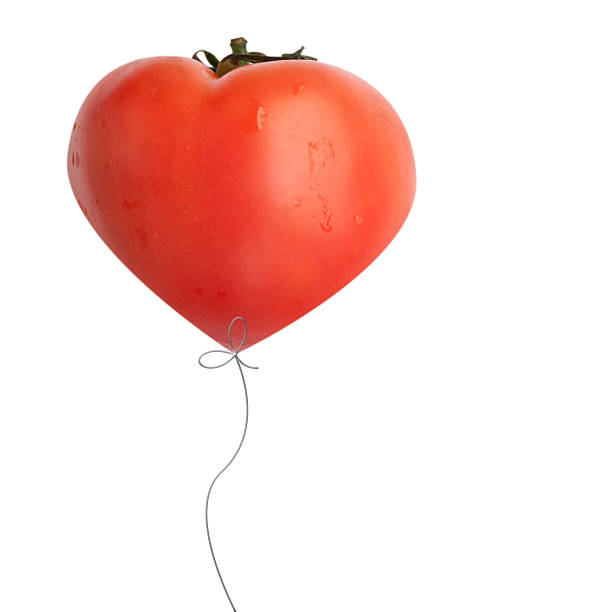 istock Concept of healthy eating 179213827