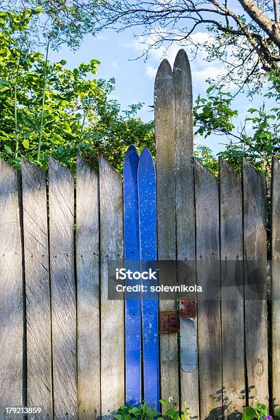 Parete Da Vecchio Sci - Fotografie stock e altre immagini di Albero - Albero, Barriera, Composizione verticale